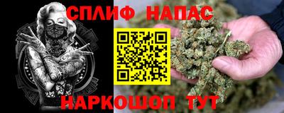 гашик Малоярославец